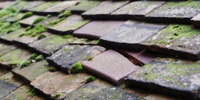 Y Ferwig roof repair costs